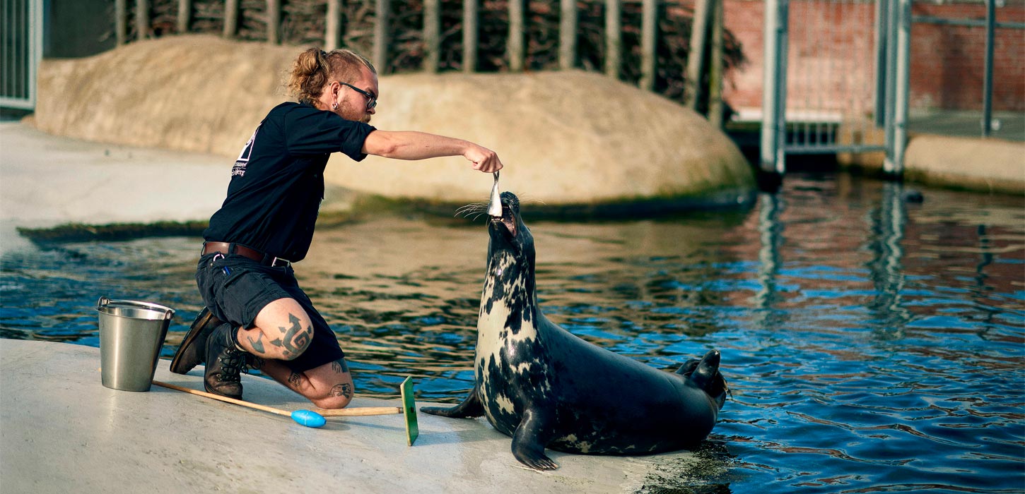 Fiskeri- og Søfartsmuseet | Vadehavskysten
