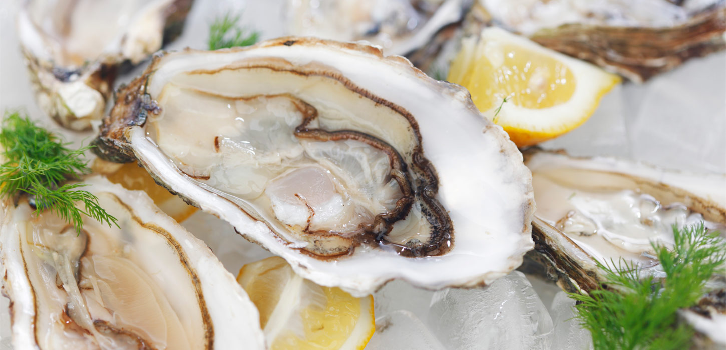 Vadehavets østers | Vadehavskysten