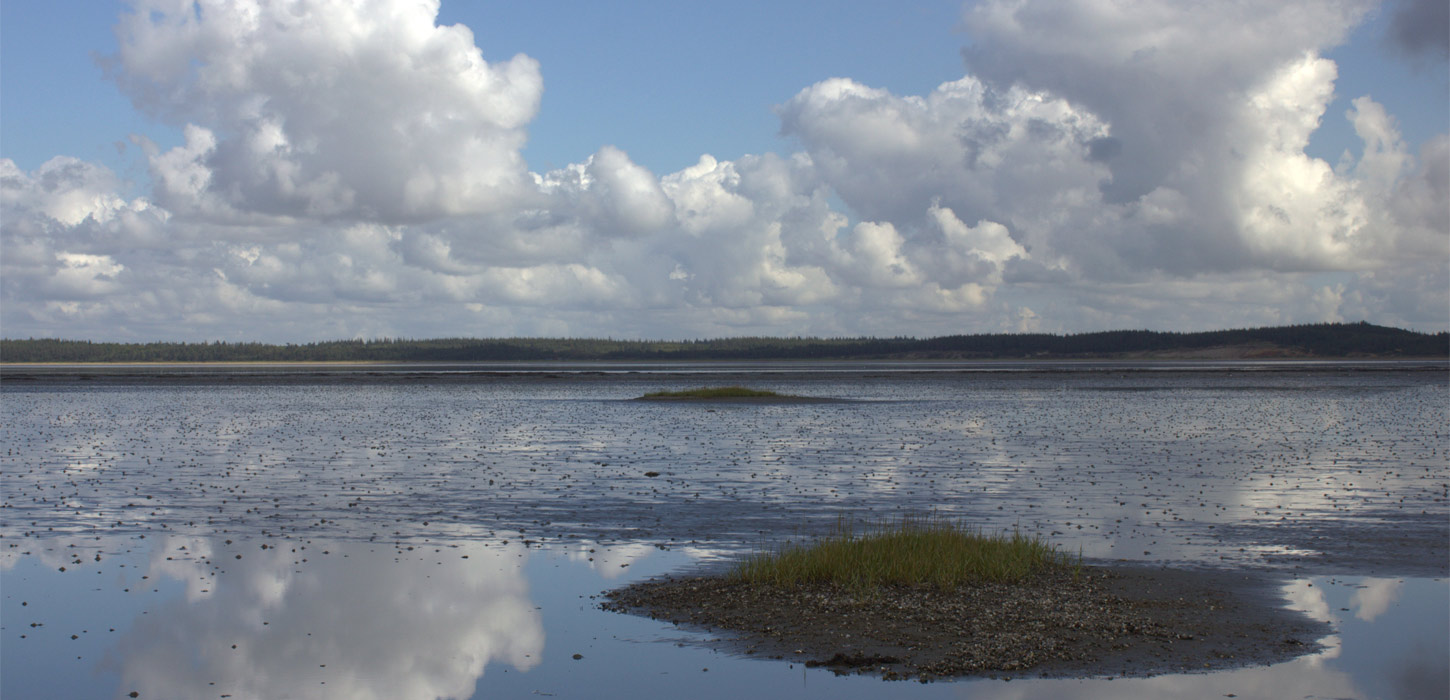 Skallingen og Langli | Vadehavskysten