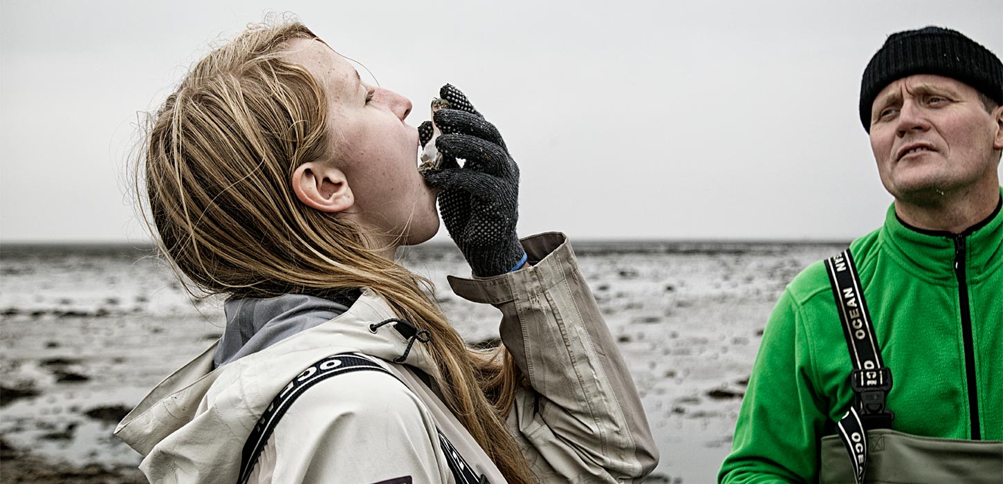 Eating oysters | By the Wadden Sea