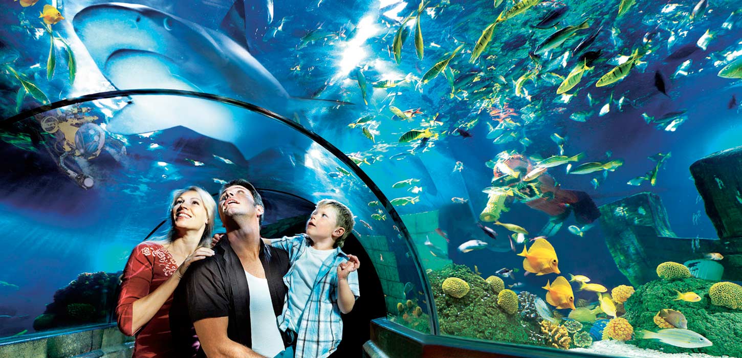 Cruise Esbjerg | Legoland