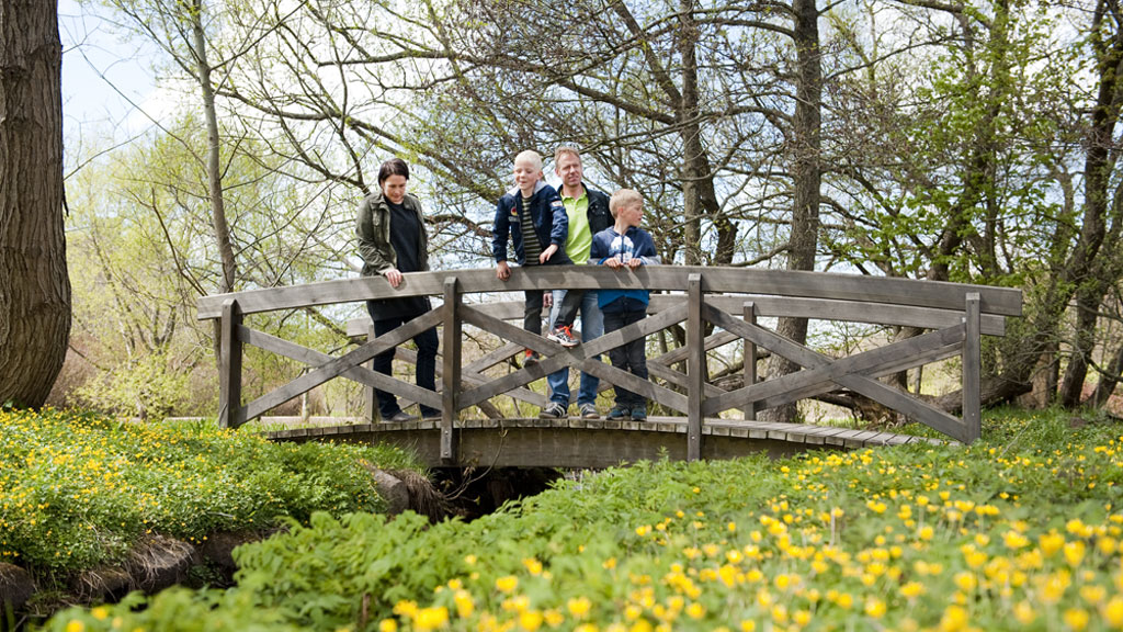 på tur i Vognsbølparken | Vadehavskysten