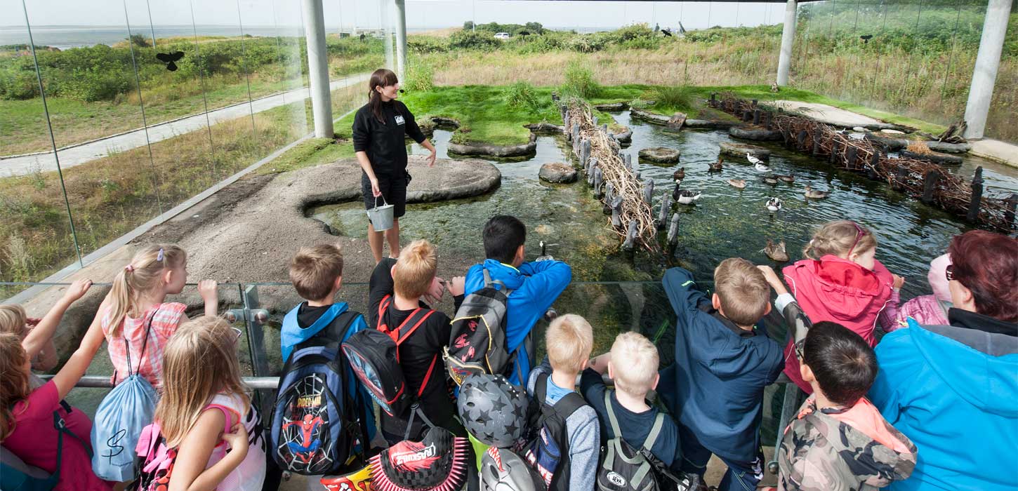 Vadehavspavillon | Fiskeri- og Søfartsmuseet