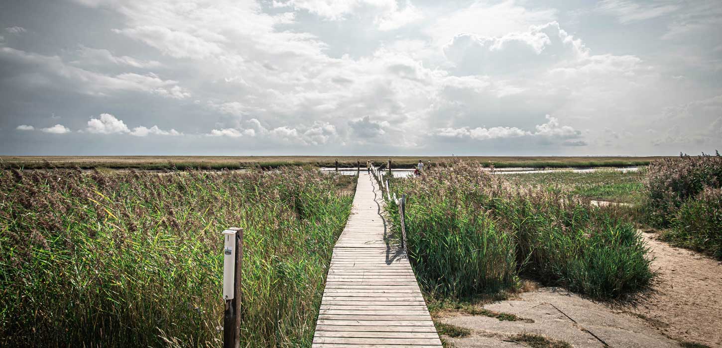 Holzbrücke in Richtung Wasser auf Fanø | Süddänische Nordsee
