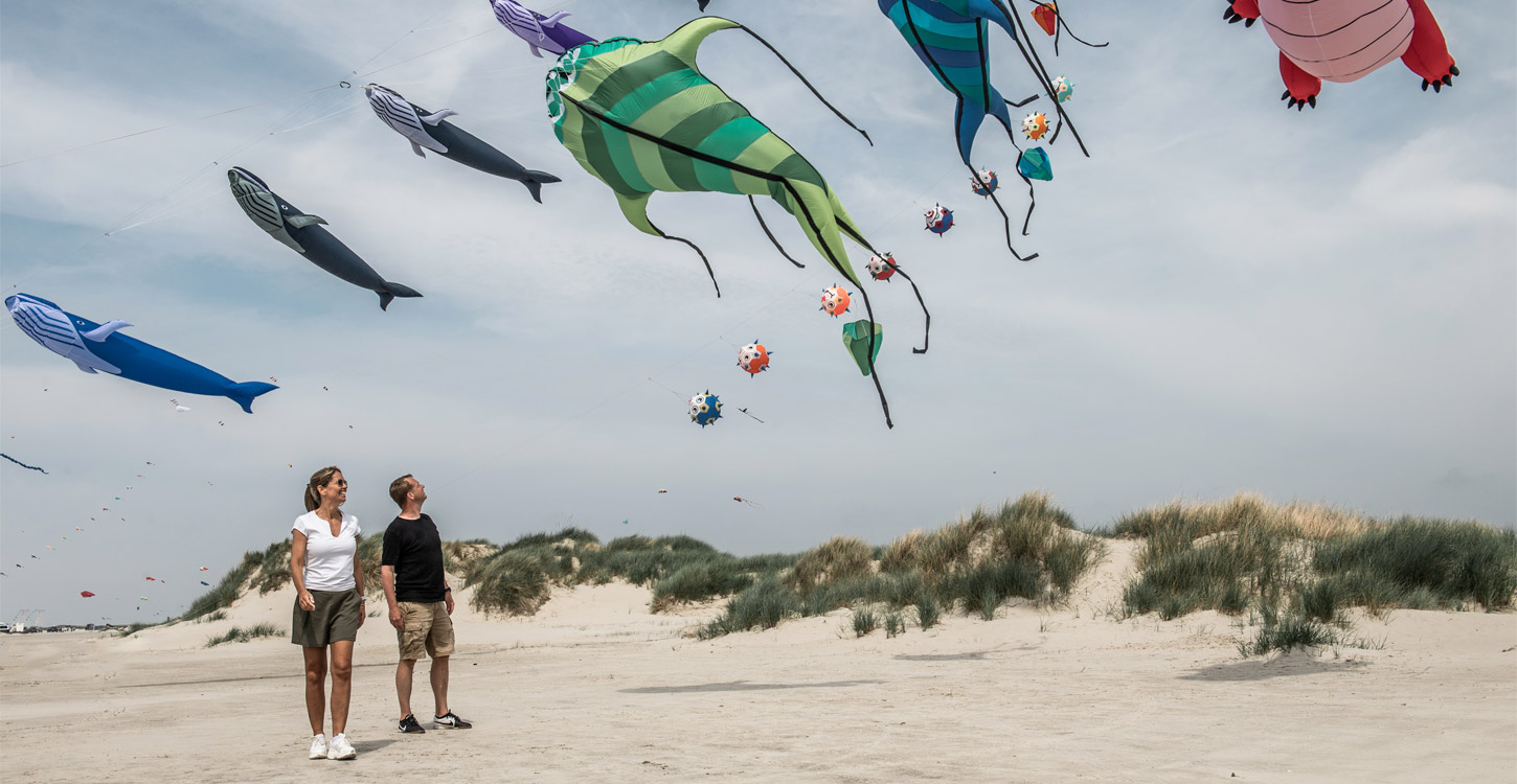 Drager på Fanø strand | Vadehavskysten