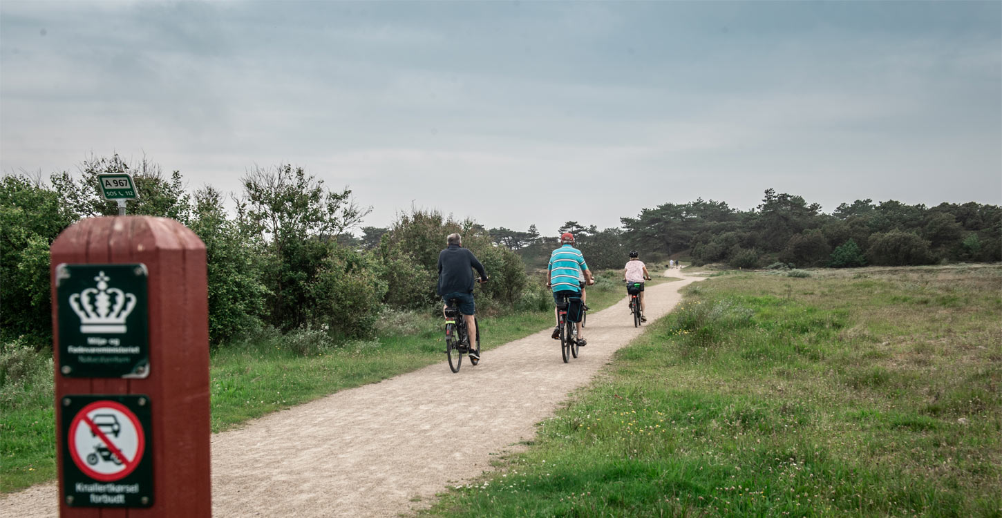 Rundt på Fanø på cykel | Vadehavskysten